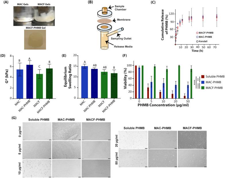 https://cdn.ncbi.nlm.nih.gov/pmc/blobs/5a12/11197983/48ed384c4620/d4bm00355a-f1.jpg