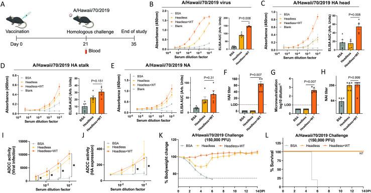 https://cdn.ncbi.nlm.nih.gov/pmc/blobs/5a13/11753672/ed9a8dfa9f25/ppat.1012878.g003.jpg