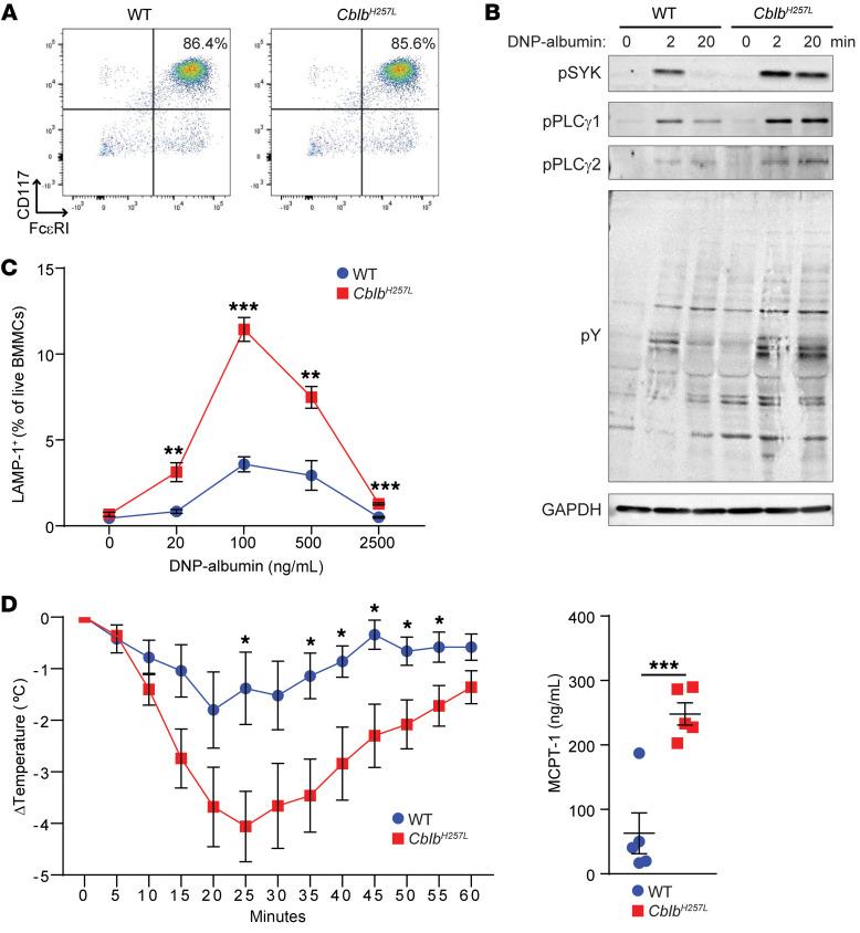 https://cdn.ncbi.nlm.nih.gov/pmc/blobs/5a13/9566886/d3468ff10416/jci-132-154487-g099.jpg