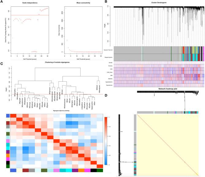 https://cdn.ncbi.nlm.nih.gov/pmc/blobs/5a15/7870792/a625a6d662b4/fgene-11-613744-g0001.jpg
