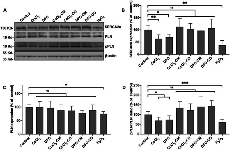 https://cdn.ncbi.nlm.nih.gov/pmc/blobs/5a15/9912525/5196d6020af1/13287_2022_3228_Fig4_HTML.jpg