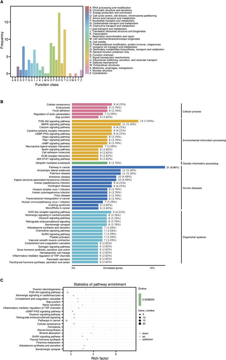 https://cdn.ncbi.nlm.nih.gov/pmc/blobs/5a16/11920260/5253ddf424b8/41598_2025_91319_Fig5a_HTML.jpg