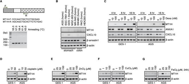 https://cdn.ncbi.nlm.nih.gov/pmc/blobs/5a16/11920260/ba29421c259b/41598_2025_91319_Fig9_HTML.jpg
