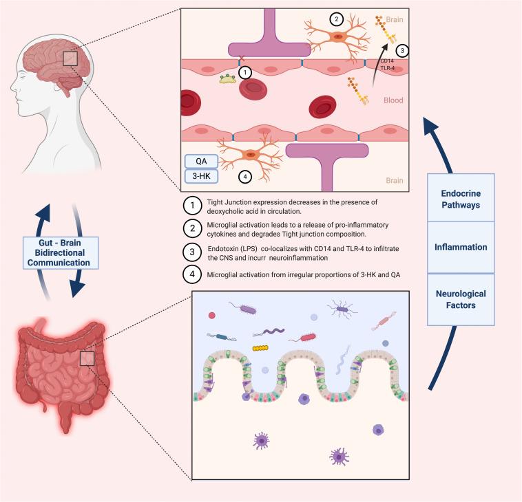 https://cdn.ncbi.nlm.nih.gov/pmc/blobs/5a16/7771210/0ba7f81a2c62/fbioe-08-537847-g003.jpg