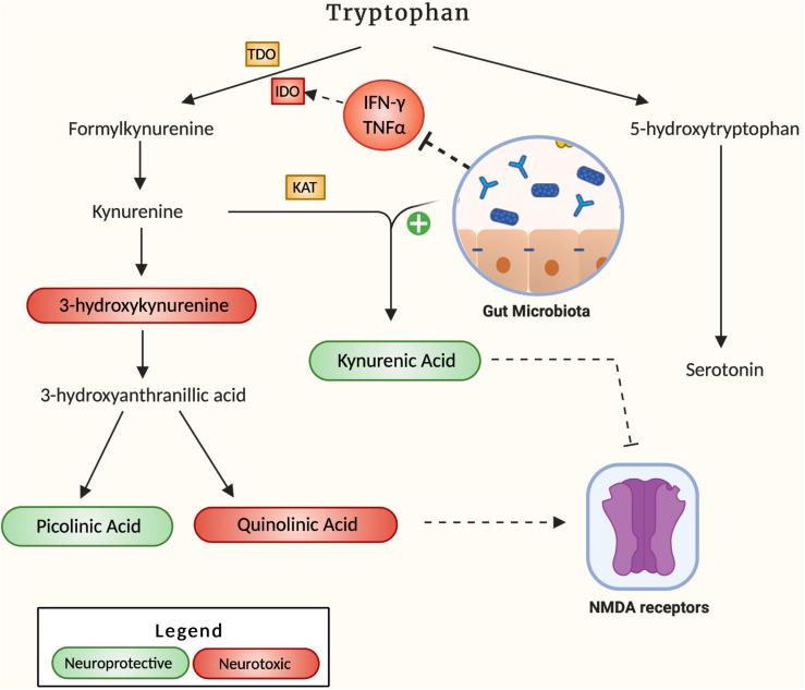 https://cdn.ncbi.nlm.nih.gov/pmc/blobs/5a16/7771210/9c1ec71f0eeb/fbioe-08-537847-g002.jpg
