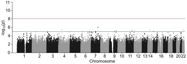 https://cdn.ncbi.nlm.nih.gov/pmc/blobs/5a18/10671316/07fc0a9648d2/genes-14-02019-g003.jpg