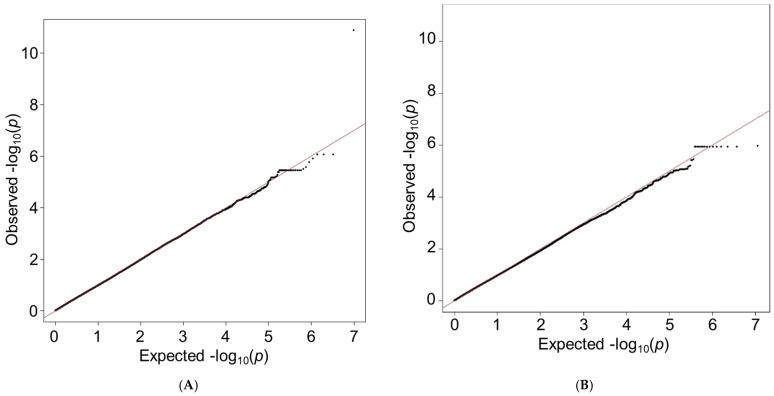 https://cdn.ncbi.nlm.nih.gov/pmc/blobs/5a18/10671316/5dc202f4c309/genes-14-02019-g001.jpg