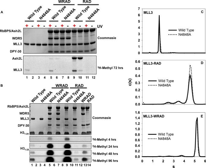 https://cdn.ncbi.nlm.nih.gov/pmc/blobs/5a18/4646236/943a72365335/zbc0461528630007.jpg