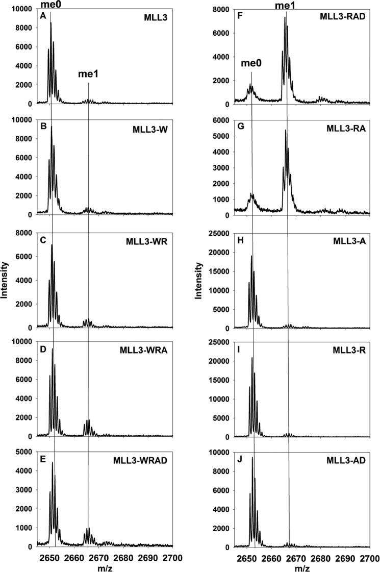 https://cdn.ncbi.nlm.nih.gov/pmc/blobs/5a18/4646236/bd0b61bc8863/zbc0461528630002.jpg