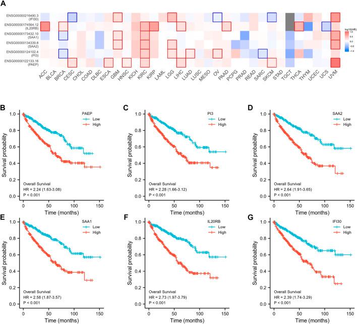 https://cdn.ncbi.nlm.nih.gov/pmc/blobs/5a1a/9895858/9ae5018edee8/fgene-14-1107294-g004.jpg