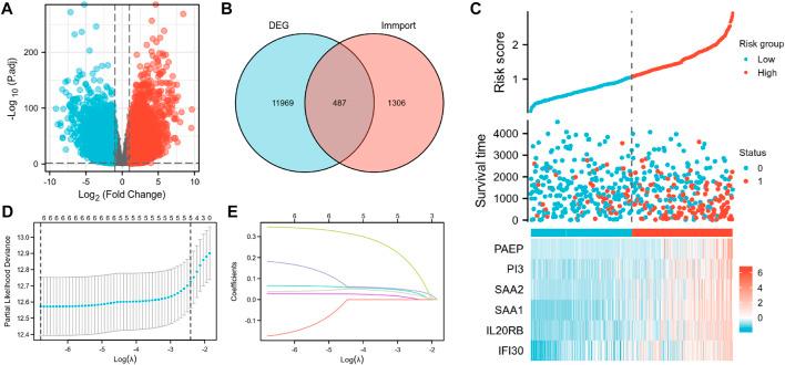 https://cdn.ncbi.nlm.nih.gov/pmc/blobs/5a1a/9895858/e08f8cd8698e/fgene-14-1107294-g002.jpg