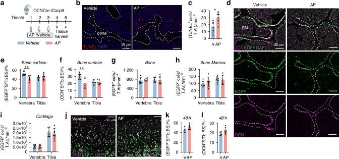 https://cdn.ncbi.nlm.nih.gov/pmc/blobs/5a1b/11300627/24f7eef28fa1/41413_2024_341_Fig1_HTML.jpg
