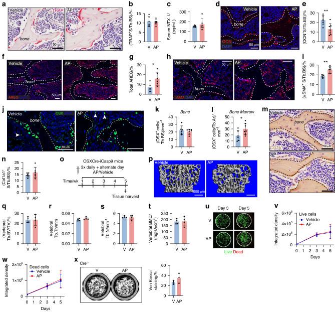 https://cdn.ncbi.nlm.nih.gov/pmc/blobs/5a1b/11300627/3d10dd9ba850/41413_2024_341_Fig5_HTML.jpg