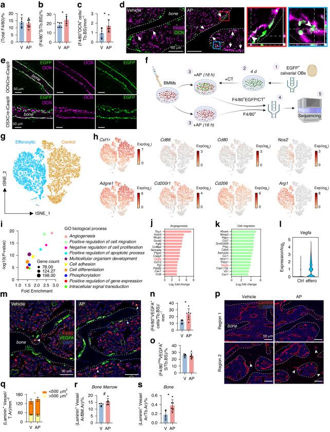 https://cdn.ncbi.nlm.nih.gov/pmc/blobs/5a1b/11300627/464190d18874/41413_2024_341_Fig6_HTML.jpg