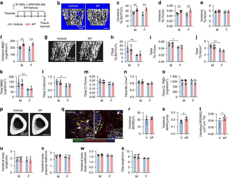 https://cdn.ncbi.nlm.nih.gov/pmc/blobs/5a1b/11300627/e6adc7578c8e/41413_2024_341_Fig3_HTML.jpg