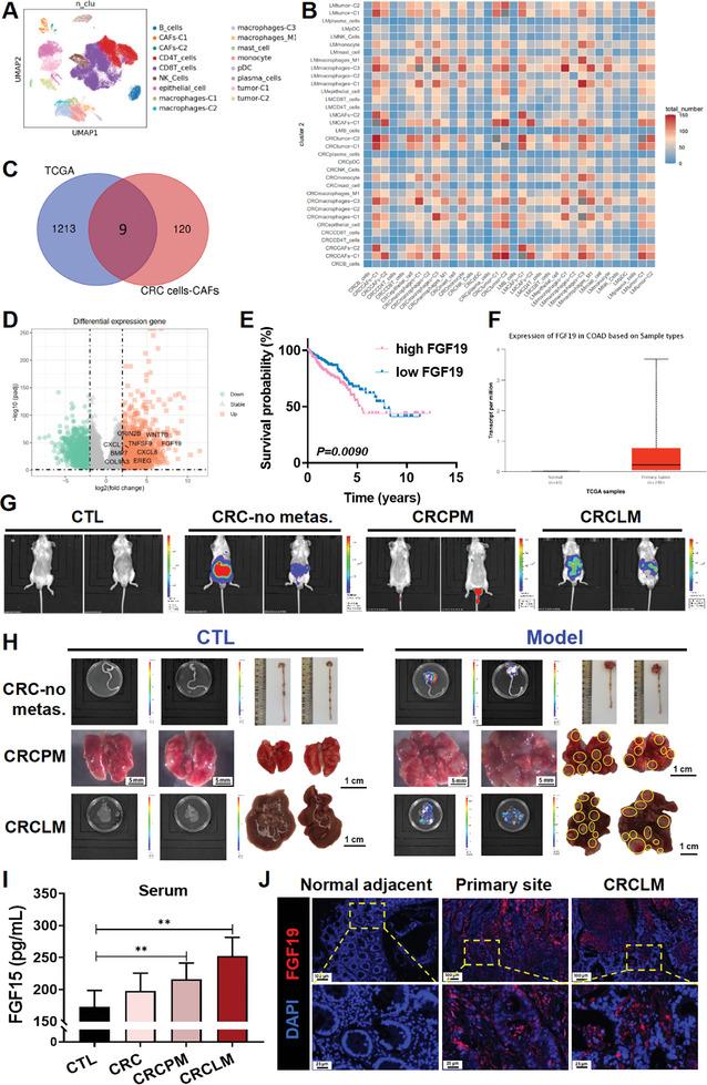 https://cdn.ncbi.nlm.nih.gov/pmc/blobs/5a1b/11831508/7b443da9f0bd/ADVS-12-2413525-g005.jpg