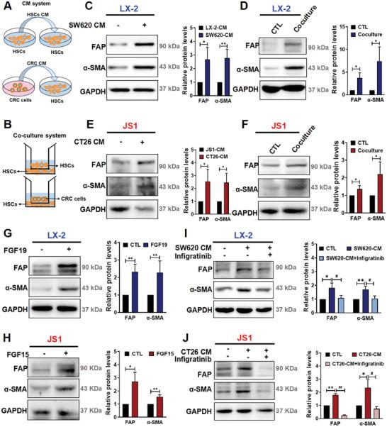 https://cdn.ncbi.nlm.nih.gov/pmc/blobs/5a1b/11831508/89ec1024b9b7/ADVS-12-2413525-g008.jpg