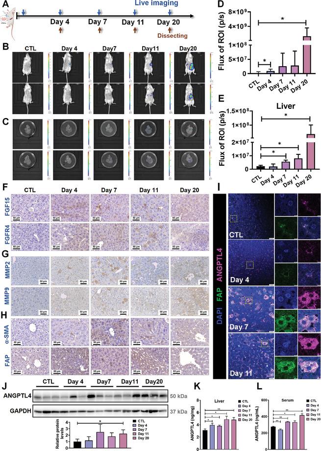 https://cdn.ncbi.nlm.nih.gov/pmc/blobs/5a1b/11831508/a4a052906c2c/ADVS-12-2413525-g003.jpg