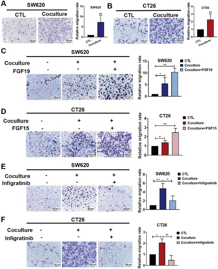 https://cdn.ncbi.nlm.nih.gov/pmc/blobs/5a1b/11831508/f83cfd8b2fd8/ADVS-12-2413525-g002.jpg