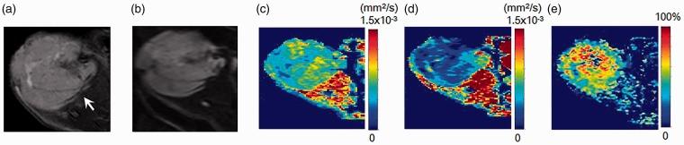 https://cdn.ncbi.nlm.nih.gov/pmc/blobs/5a1c/5774737/b88db3353a1e/10.1177_2058460117751565-fig4.jpg