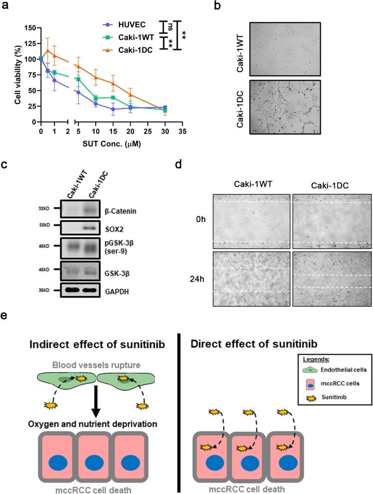https://cdn.ncbi.nlm.nih.gov/pmc/blobs/5a1d/7011538/27fad98a98c9/13046_2020_1527_Fig1_HTML.jpg