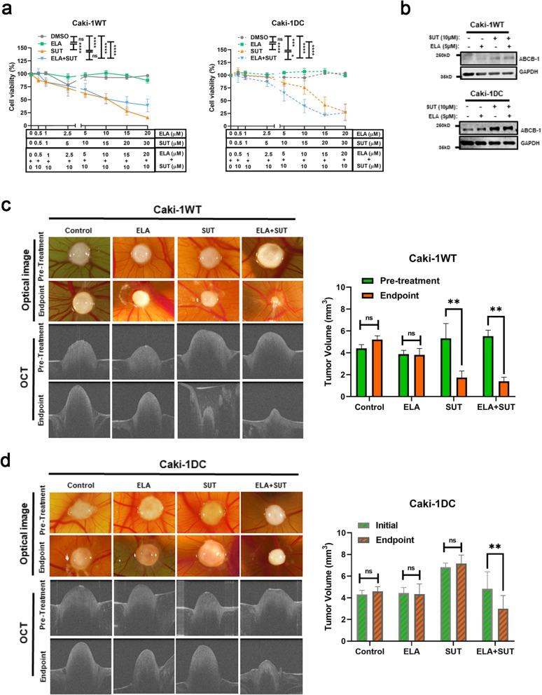 https://cdn.ncbi.nlm.nih.gov/pmc/blobs/5a1d/7011538/646f2195fad0/13046_2020_1527_Fig6_HTML.jpg