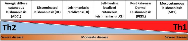 https://cdn.ncbi.nlm.nih.gov/pmc/blobs/5a1d/8217655/5074fd396216/fcimb-11-685296-g001.jpg