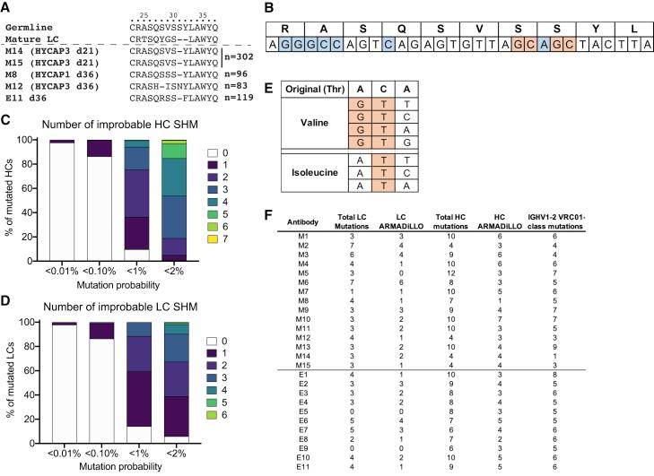 https://cdn.ncbi.nlm.nih.gov/pmc/blobs/5a20/8924373/c57c2048a47b/gr4.jpg