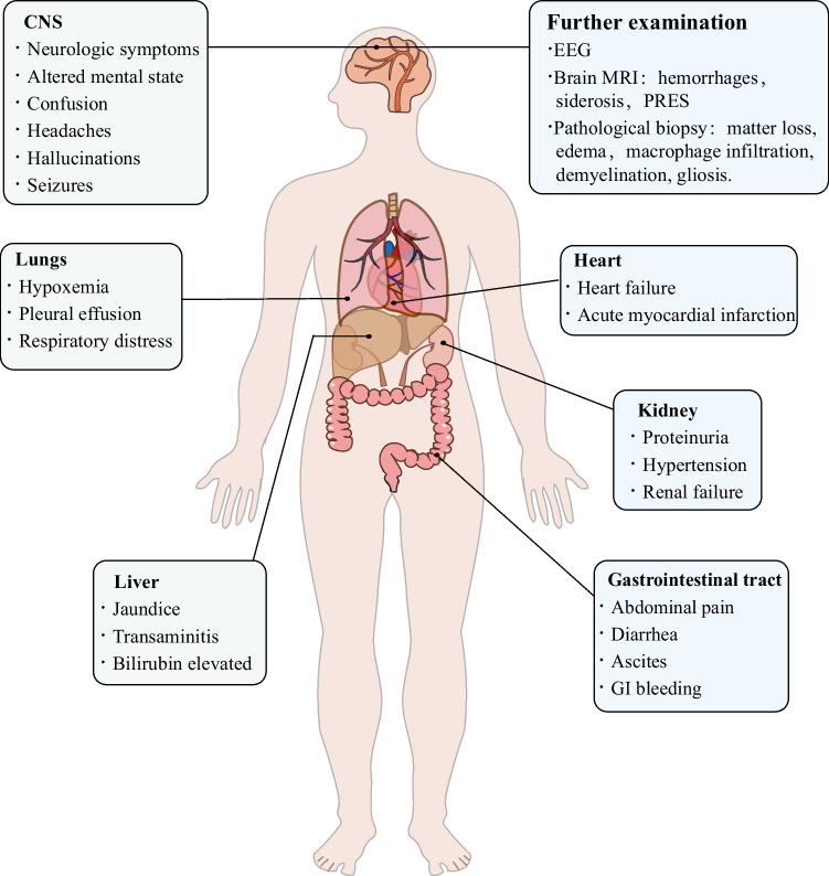 https://cdn.ncbi.nlm.nih.gov/pmc/blobs/5a23/11358180/e6d7cad0fbdb/277_2024_5798_Fig2_HTML.jpg