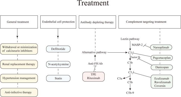 https://cdn.ncbi.nlm.nih.gov/pmc/blobs/5a23/11358180/f6e6b8acdea3/277_2024_5798_Fig3_HTML.jpg