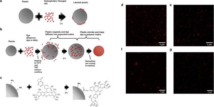 https://cdn.ncbi.nlm.nih.gov/pmc/blobs/5a24/9118545/ba7638998f75/es1c08480_0002.jpg