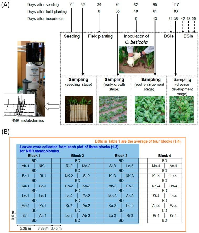 https://cdn.ncbi.nlm.nih.gov/pmc/blobs/5a25/5372207/05108021f7ff/metabolites-07-00004-g001.jpg