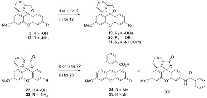 https://cdn.ncbi.nlm.nih.gov/pmc/blobs/5a27/6749439/2173e4e52397/molecules-24-03206-sch002.jpg
