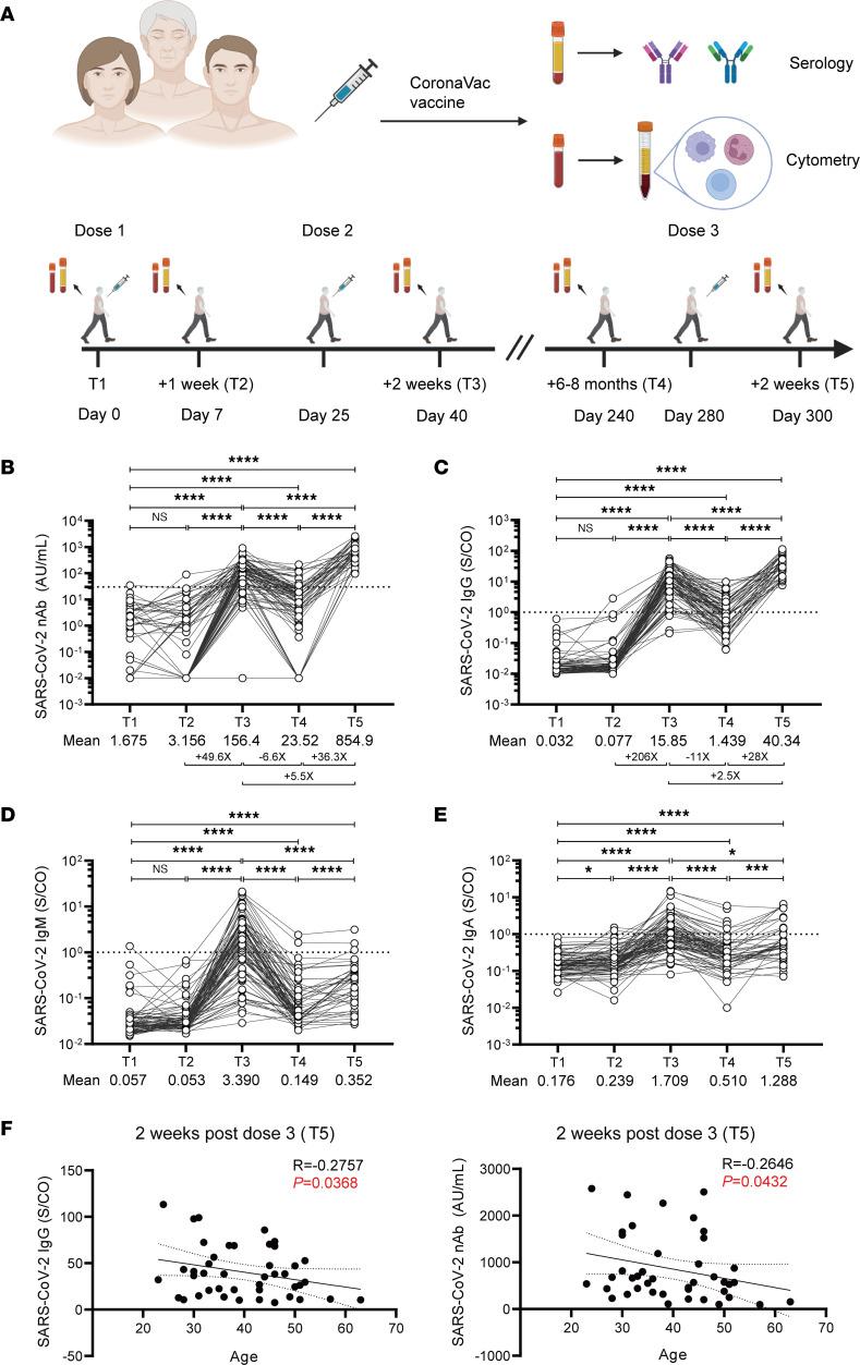 https://cdn.ncbi.nlm.nih.gov/pmc/blobs/5a29/10445683/939e4fcdc67e/jciinsight-8-168437-g026.jpg