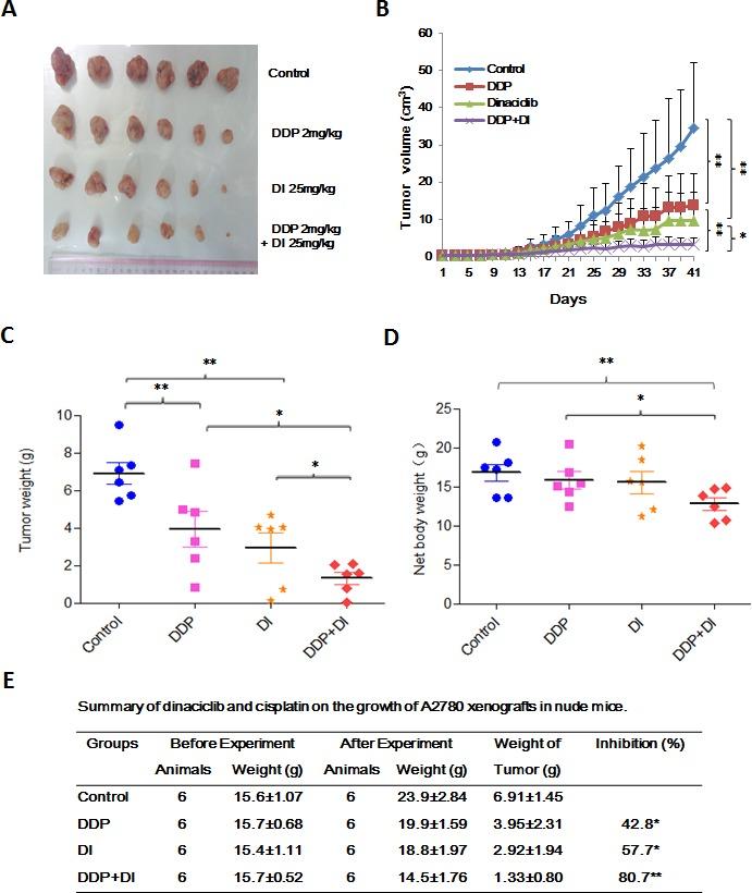 https://cdn.ncbi.nlm.nih.gov/pmc/blobs/5a2b/4558126/d0f76a43ed80/oncotarget-06-14926-g007.jpg