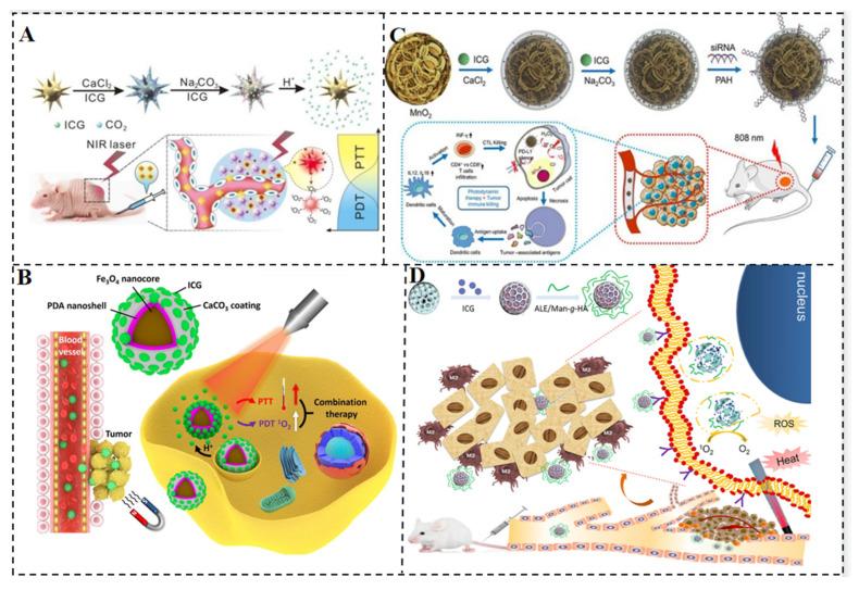 https://cdn.ncbi.nlm.nih.gov/pmc/blobs/5a2c/10459369/350db597c2d6/molecules-28-06085-g008.jpg