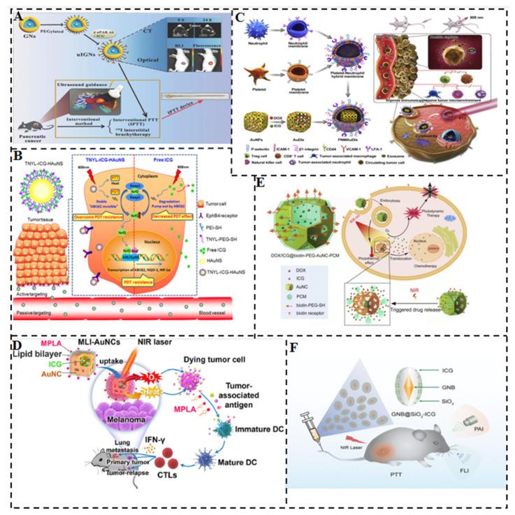 https://cdn.ncbi.nlm.nih.gov/pmc/blobs/5a2c/10459369/fb8df57f647d/molecules-28-06085-g007.jpg