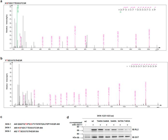 https://cdn.ncbi.nlm.nih.gov/pmc/blobs/5a2d/5341102/c57d04acd230/srep43601-f3.jpg