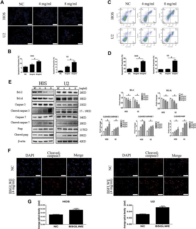 https://cdn.ncbi.nlm.nih.gov/pmc/blobs/5a2f/6942530/626c604a195a/OTT-12-11651-g0003.jpg