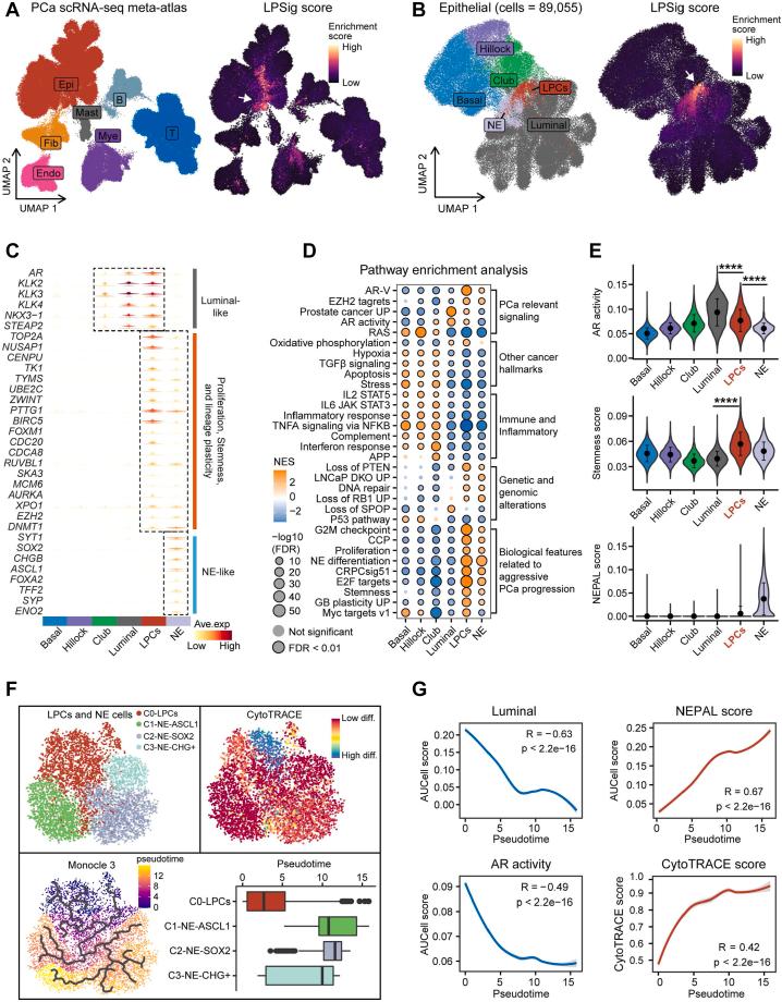 https://cdn.ncbi.nlm.nih.gov/pmc/blobs/5a31/11530610/9b0220c55b49/gr3.jpg
