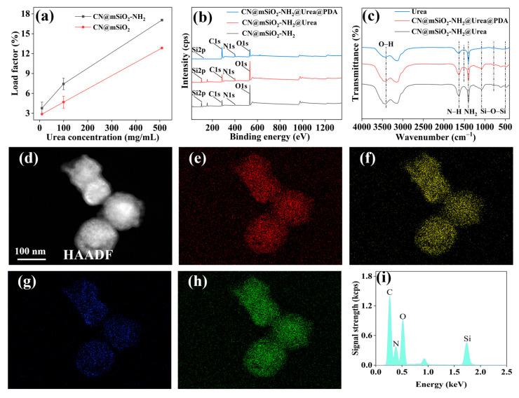 https://cdn.ncbi.nlm.nih.gov/pmc/blobs/5a31/11990319/04d518ba6180/nanomaterials-15-00565-g005.jpg