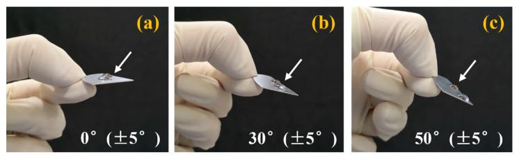 https://cdn.ncbi.nlm.nih.gov/pmc/blobs/5a31/11990319/40af3f0760d2/nanomaterials-15-00565-g006.jpg