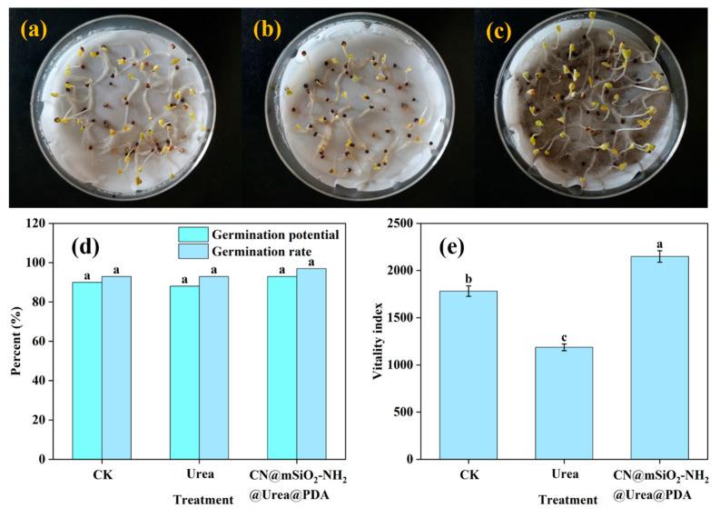 https://cdn.ncbi.nlm.nih.gov/pmc/blobs/5a31/11990319/8f8d83ee64f1/nanomaterials-15-00565-g008.jpg
