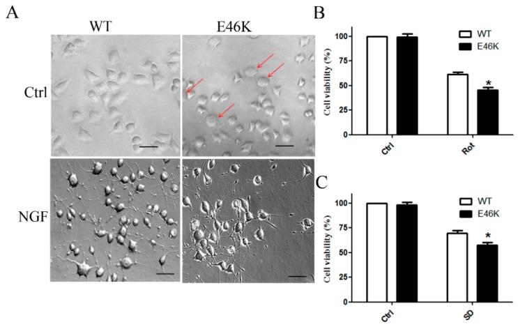 https://cdn.ncbi.nlm.nih.gov/pmc/blobs/5a31/6278282/4dcc7f42fcc9/molecules-23-02839-g005.jpg