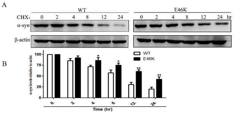 https://cdn.ncbi.nlm.nih.gov/pmc/blobs/5a31/6278282/aeb3572ed37d/molecules-23-02839-g004.jpg