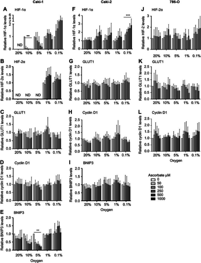 https://cdn.ncbi.nlm.nih.gov/pmc/blobs/5a32/6527796/47bab02cbd13/HP-7-17-g0006.jpg