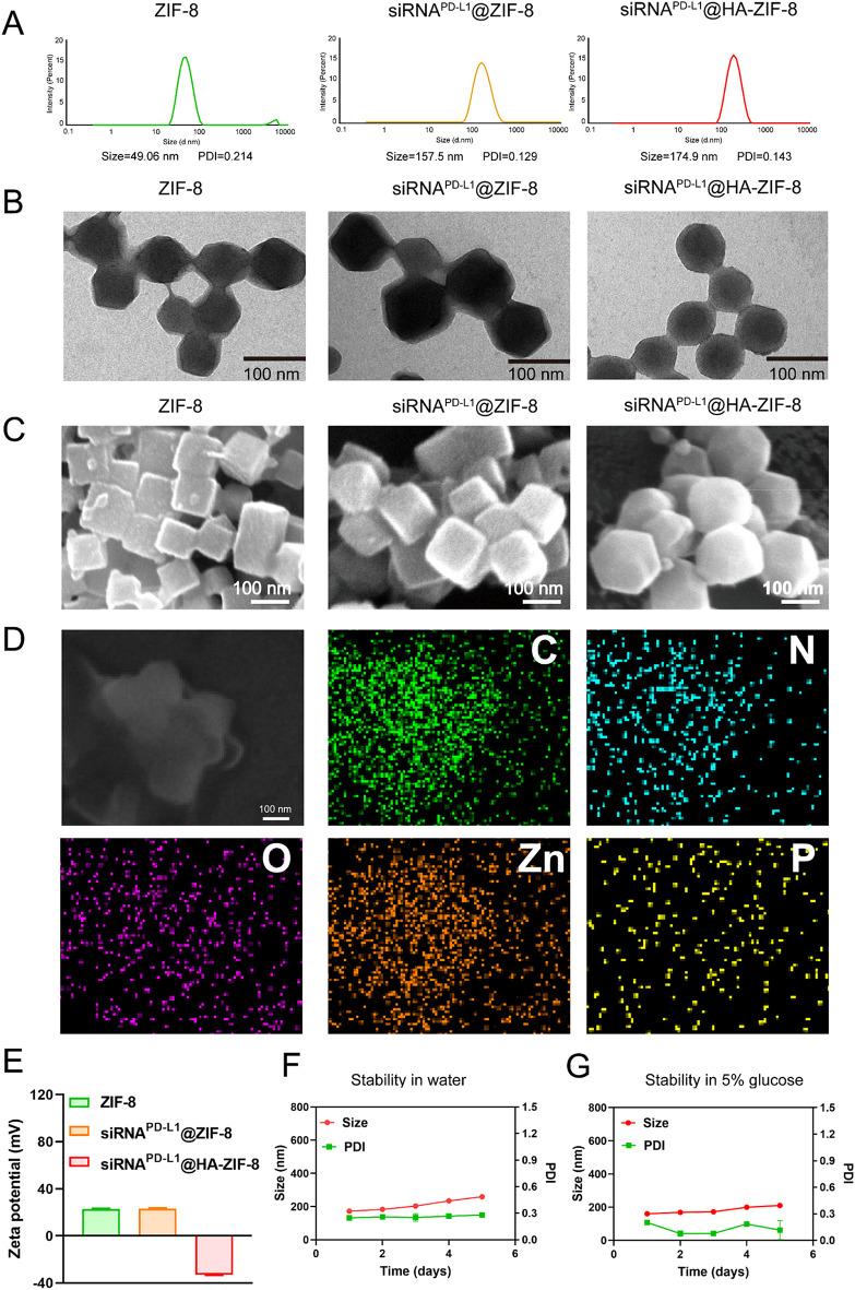 https://cdn.ncbi.nlm.nih.gov/pmc/blobs/5a34/12168320/28118ce5825d/12951_2025_3521_Fig1_HTML.jpg