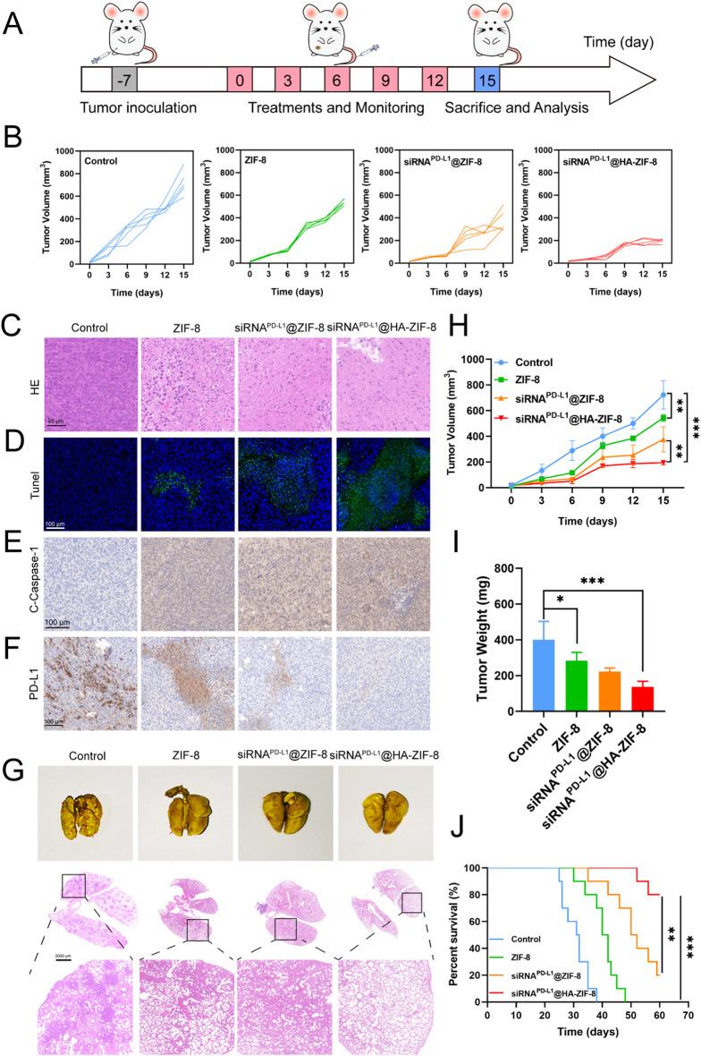 https://cdn.ncbi.nlm.nih.gov/pmc/blobs/5a34/12168320/2aa297cc1a2b/12951_2025_3521_Fig5_HTML.jpg