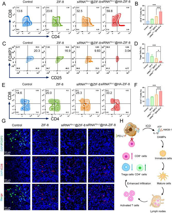 https://cdn.ncbi.nlm.nih.gov/pmc/blobs/5a34/12168320/95e178f4ec3a/12951_2025_3521_Fig6_HTML.jpg