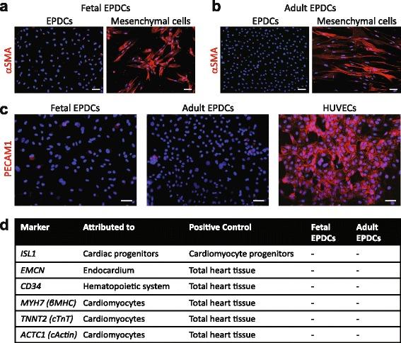 https://cdn.ncbi.nlm.nih.gov/pmc/blobs/5a35/5129650/261eeb94ab26/13287_2016_434_Fig2_HTML.jpg